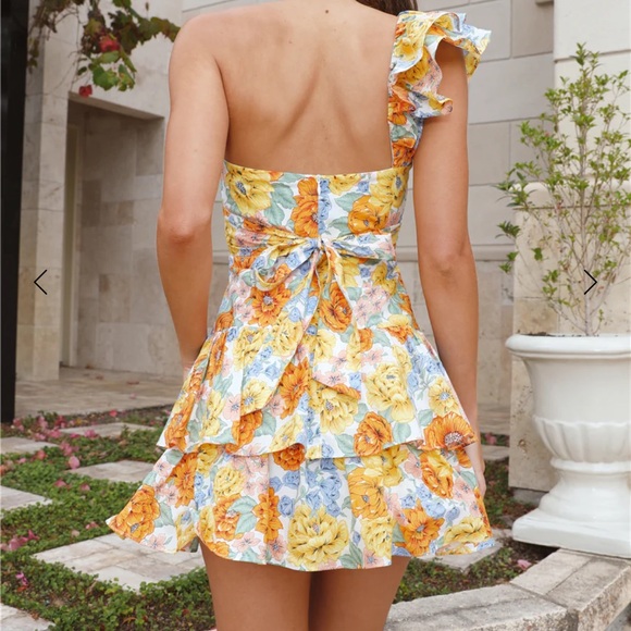 Hello Molly Ruffled Out Mini Dress - Picture 3 of 10